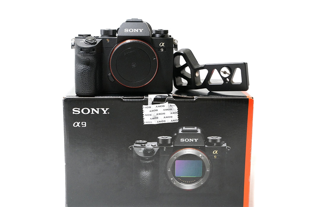FOTOCAMERA SONY A9 469 SCATTI MOLTO BELLA