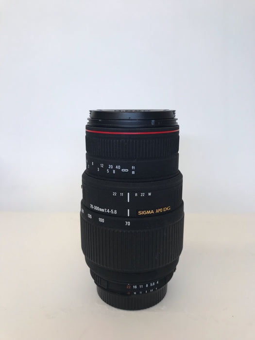 Sigma 70-300mm APO DG Macro per Nikon (OS) (cod. 5555500014552)