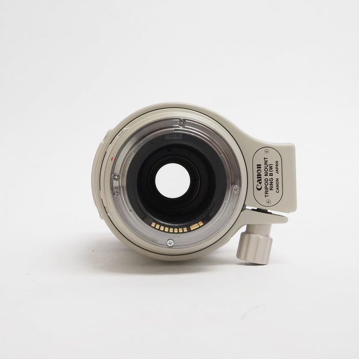 Canon 100-400mm f/4.5-5.6 L IS USATO