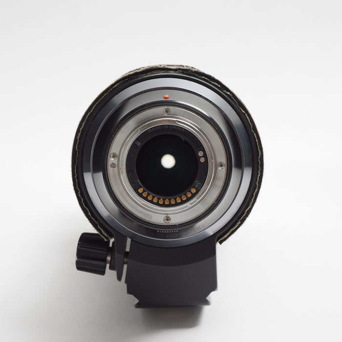 Olympus M.Zuiko Digital 300mm f/4 IS Pro USATO