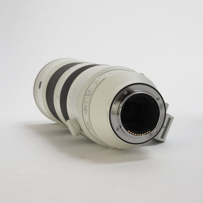 Sony 200-600mm f/5,6-6,3 FE OSS G USATO