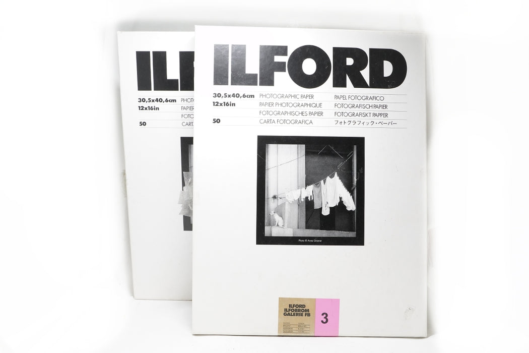 Accessorio Carta Ilford 12x16 inches Glossy